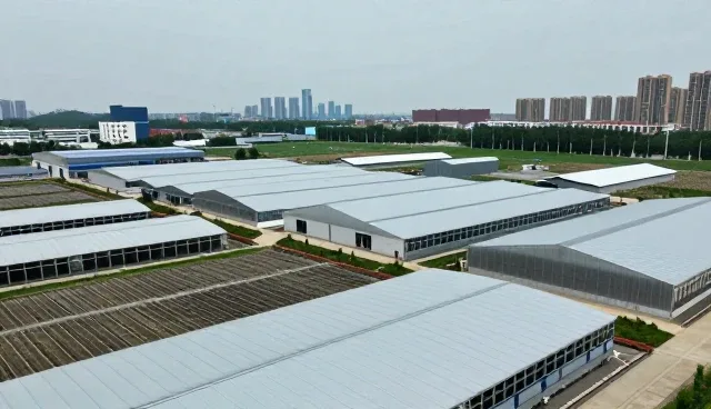 汽车美容清洗：性能差异与使用场景解析